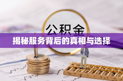 东湖揭秘服务背后的真相与选择