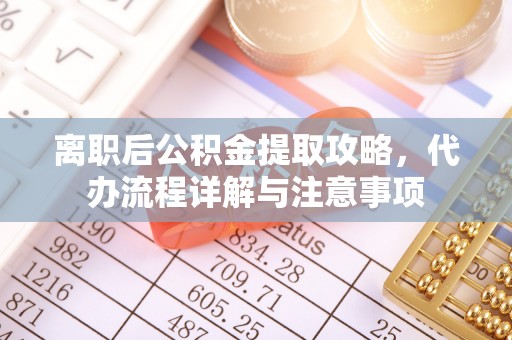 东湖离职后公积金提取攻略，代办流程详解与注意事项