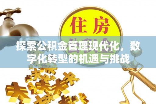 东湖探索公积金管理现代化，数字化转型的机遇与挑战