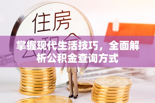 东湖掌握现代生活技巧，全面解析公积金查询方式