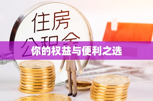 东湖你的权益与便利之选