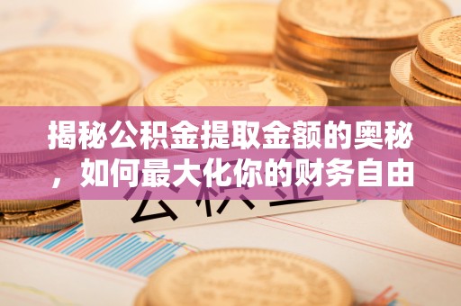 东湖揭秘公积金提取金额的奥秘，如何最大化你的财务自由