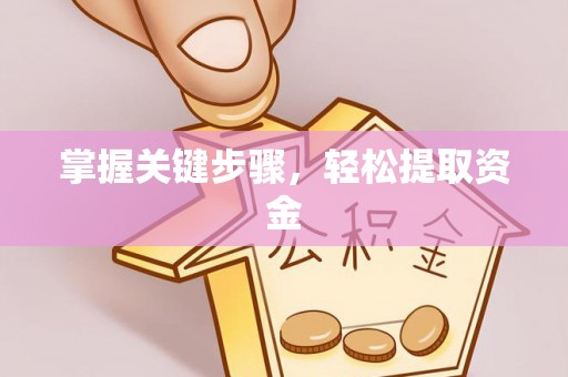 东湖掌握关键步骤，轻松提取资金