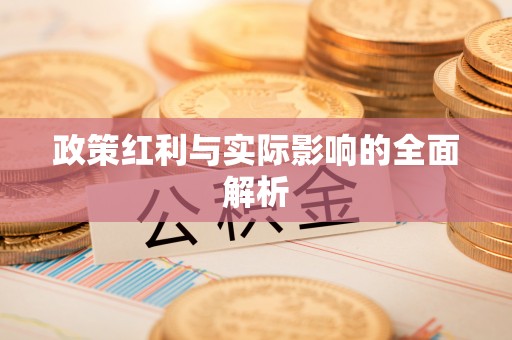 东湖政策红利与实际影响的全面解析