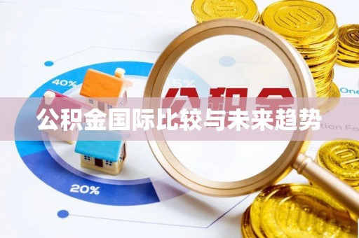 东湖公积金国际比较与未来趋势