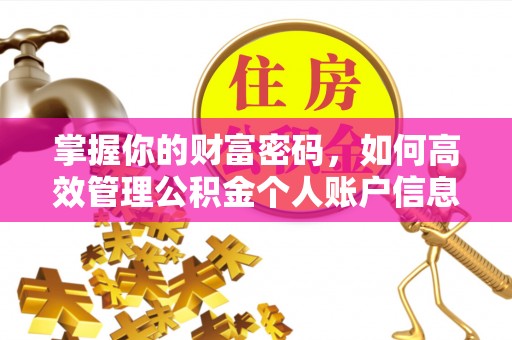 东湖掌握你的财富密码，如何高效管理公积金个人账户信息