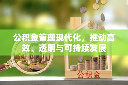 东湖公积金管理现代化，推动高效、透明与可持续发展