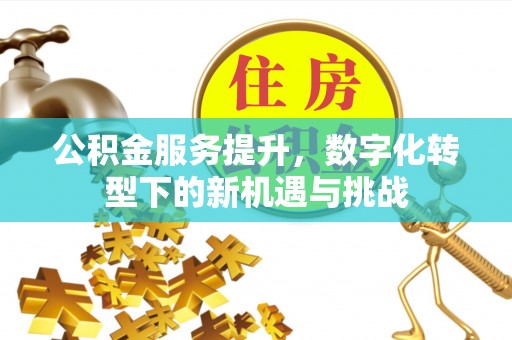 东湖公积金服务提升，数字化转型下的新机遇与挑战