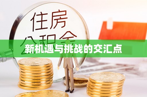 东湖新机遇与挑战的交汇点
