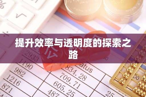 东湖提升效率与透明度的探索之路