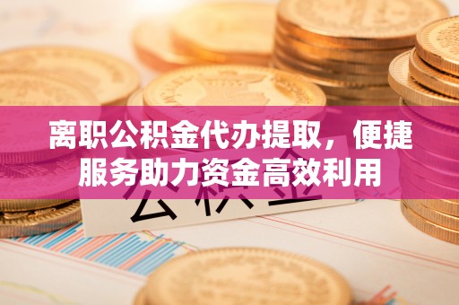 东湖离职公积金代办提取，便捷服务助力资金高效利用