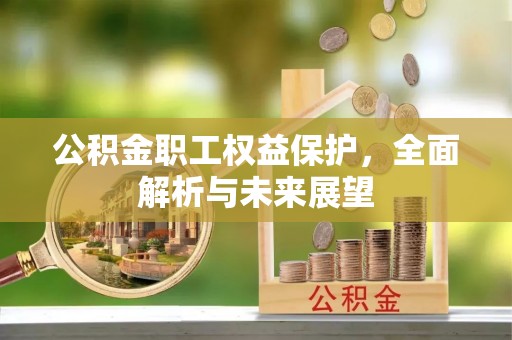 东湖公积金职工权益保护，全面解析与未来展望