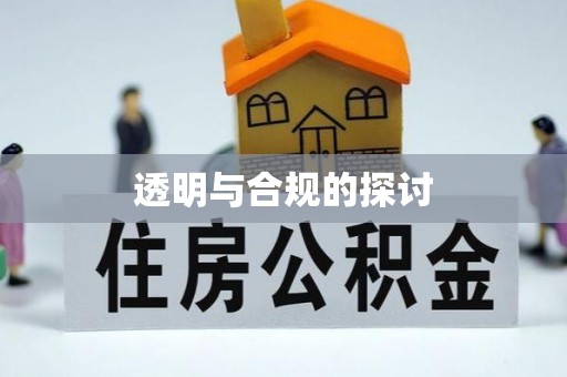 东湖透明与合规的探讨