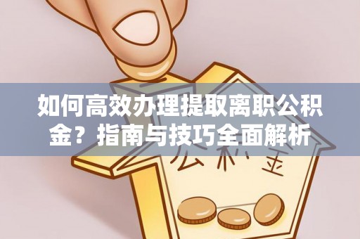 东湖如何高效办理提取离职公积金？指南与技巧全面解析