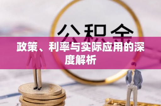 东湖政策、利率与实际应用的深度解析