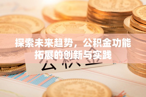 东湖探索未来趋势，公积金功能拓展的创新与实践