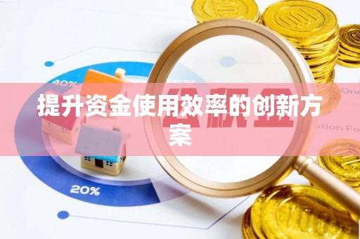 东湖提升资金使用效率的创新方案