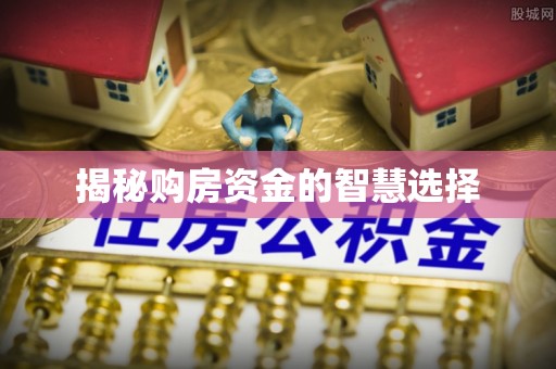 东湖揭秘购房资金的智慧选择