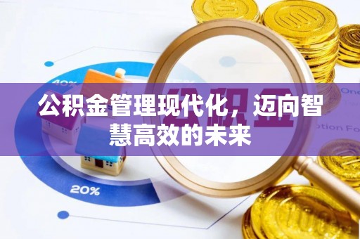 东湖公积金管理现代化，迈向智慧高效的未来
