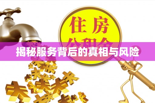 东湖揭秘服务背后的真相与风险