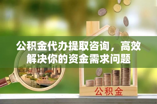 东湖公积金代办提取咨询，高效解决你的资金需求问题