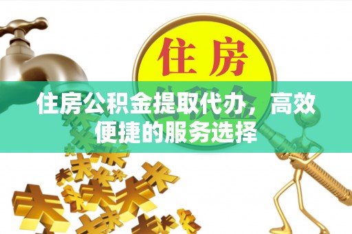 东湖住房公积金提取代办，高效便捷的服务选择