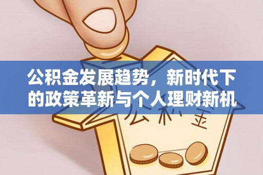 东湖公积金发展趋势，新时代下的政策革新与个人理财新机遇