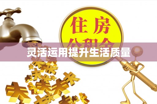 东湖灵活运用提升生活质量