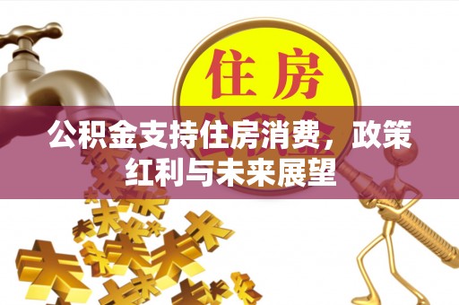 东湖公积金支持住房消费，政策红利与未来展望