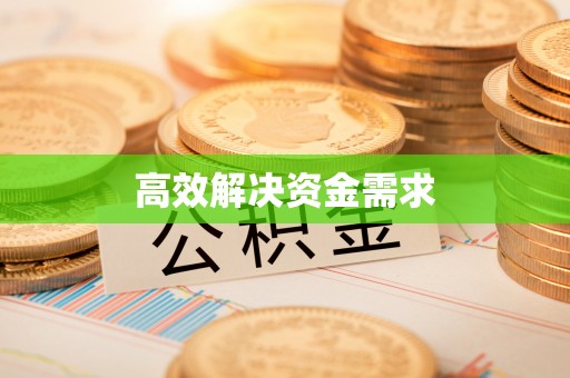 东湖高效解决资金需求