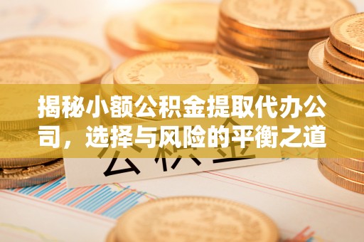东湖揭秘小额公积金提取代办公司，选择与风险的平衡之道