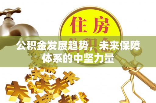 东湖公积金发展趋势，未来保障体系的中坚力量