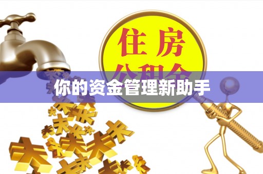 东湖你的资金管理新助手