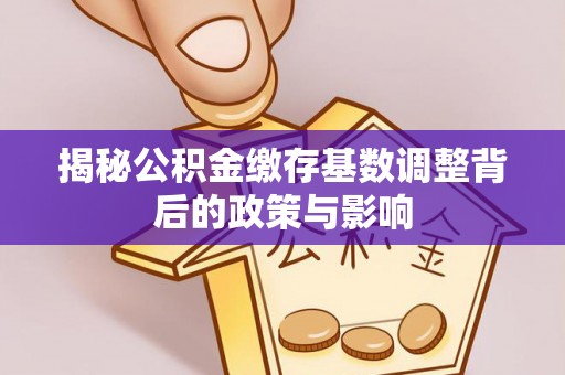东湖揭秘公积金缴存基数调整背后的政策与影响