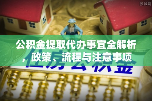 东湖公积金提取代办事宜全解析，政策、流程与注意事项
