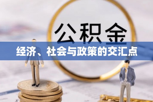 东湖经济、社会与政策的交汇点
