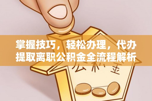 东湖掌握技巧，轻松办理，代办提取离职公积金全流程解析