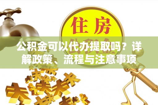 东湖公积金可以代办提取吗？详解政策、流程与注意事项