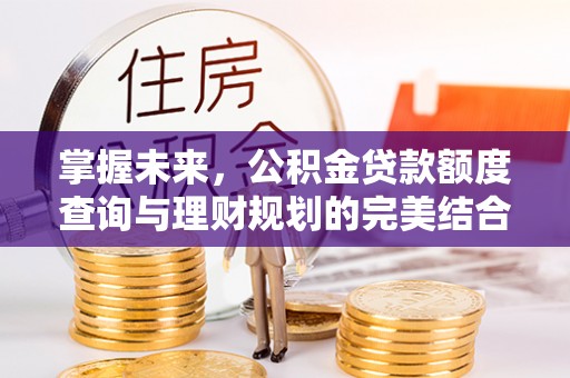 东湖掌握未来，公积金贷款额度查询与理财规划的完美结合