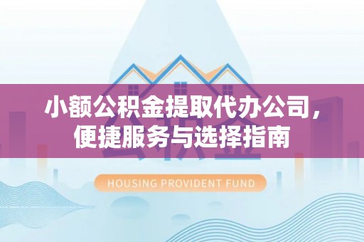 东湖小额公积金提取代办公司，便捷服务与选择指南