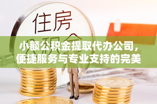 东湖小额公积金提取代办公司，便捷服务与专业支持的完美结合