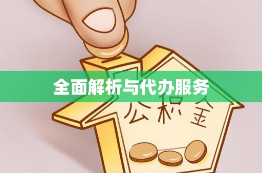 东湖全面解析与代办服务
