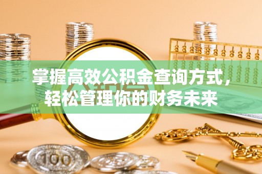 东湖掌握高效公积金查询方式，轻松管理你的财务未来
