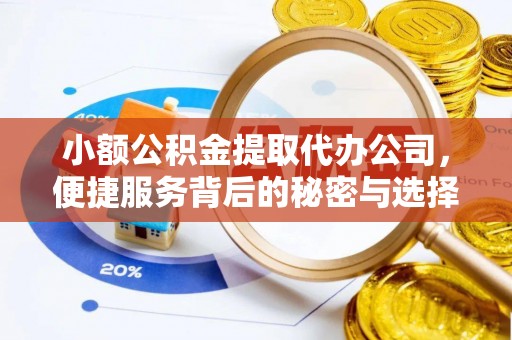 东湖小额公积金提取代办公司，便捷服务背后的秘密与选择指南