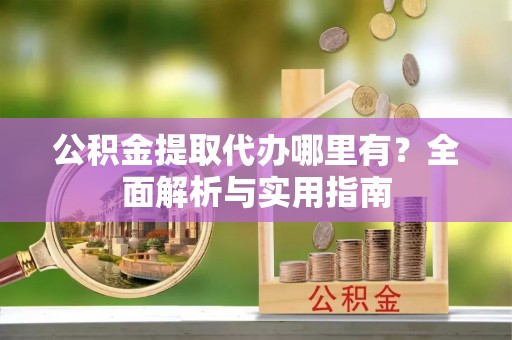 东湖公积金提取代办哪里有？全面解析与实用指南