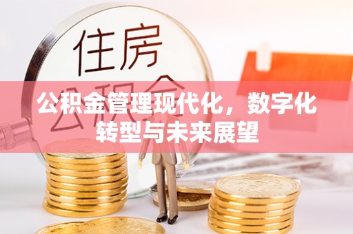 东湖公积金管理现代化，数字化转型与未来展望