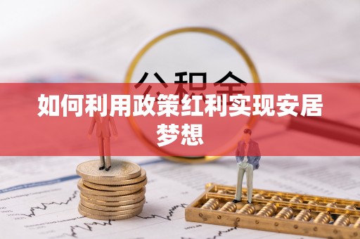 东湖如何利用政策红利实现安居梦想