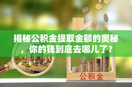 东湖揭秘公积金提取金额的奥秘，你的钱到底去哪儿了？
