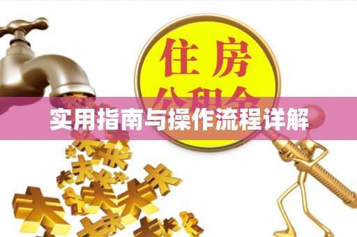 东湖实用指南与操作流程详解