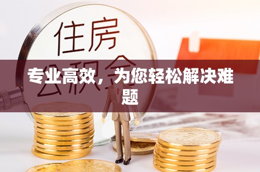 东湖专业高效，为您轻松解决难题